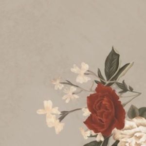 Meet your Posher, Klaudia